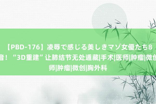 【PBD-176】凌辱で感じる美しきマゾ女優たち8時間 福音！“3D重建”让肺结节无处遁藏|手术|医师|肿瘤|微创|胸外科