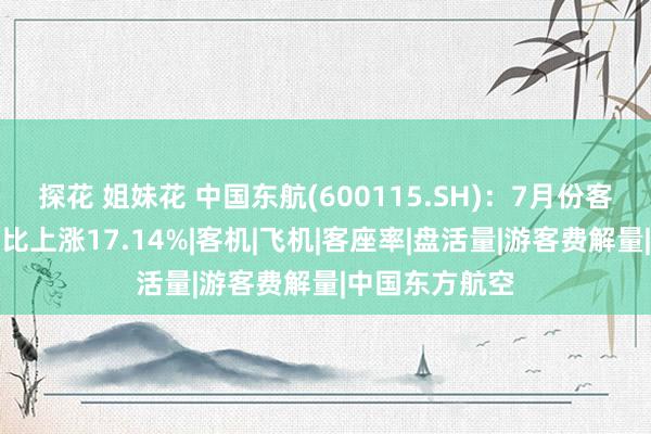 探花 姐妹花 中国东航(600115.SH)：7月份客运运力进入同比上涨17.14%|客机|飞机|客座率|盘活量|游客费解量|中国东方航空