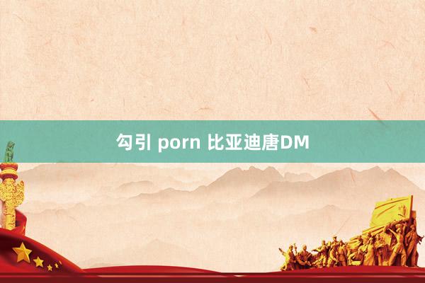 勾引 porn 比亚迪唐DM