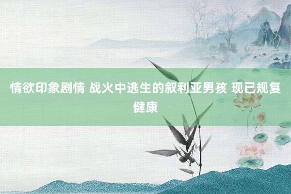 情欲印象剧情 战火中逃生的叙利亚男孩 现已规复健康