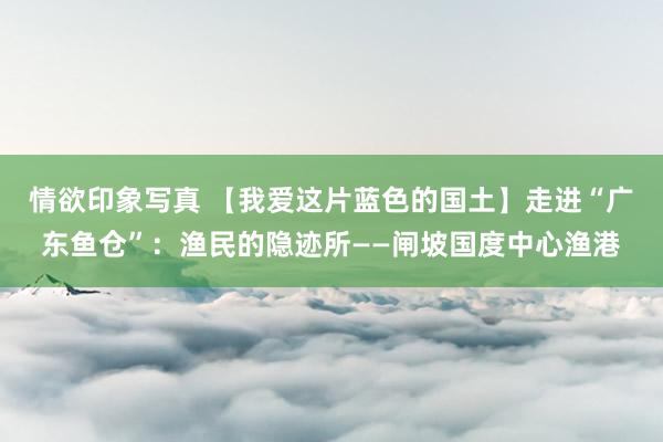 情欲印象写真 【我爱这片蓝色的国土】走进“广东鱼仓”：渔民的隐迹所——闸坡国度中心渔港