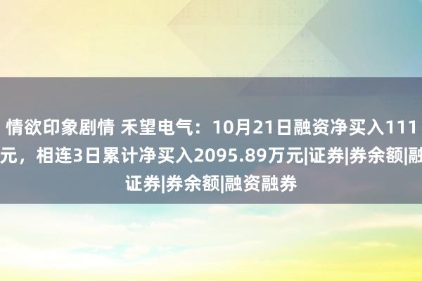 情欲印象剧情 禾望电气：10月21日融资净买入1116.25万元，相连3日累计净买入2095.89万元|证券|券余额|融资融券