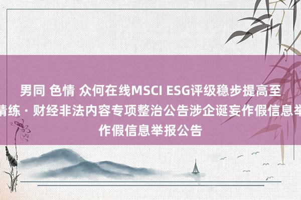 男同 色情 众何在线MSCI ESG评级稳步提高至BBB级精练 · 财经非法内容专项整治公告涉企诞妄作假信息举报公告