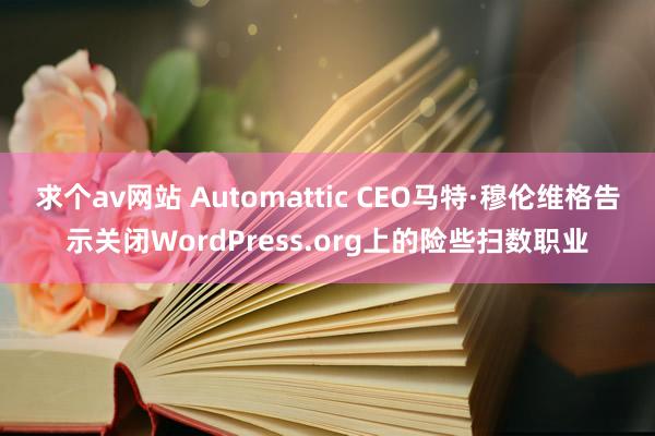 求个av网站 Automattic CEO马特·穆伦维格告示关闭WordPress.org上的险些扫数职业