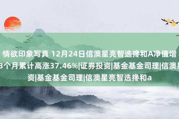 情欲印象写真 12月24日信澳星亮智选搀和A净值增长1.18%，近3个月累计高涨37.46%|证券投资|基金基金司理|信澳星亮智选搀和a