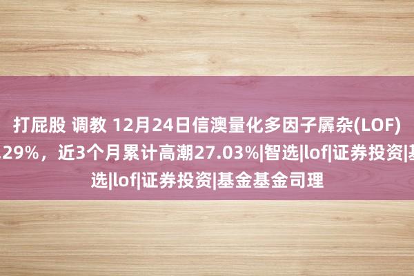 打屁股 调教 12月24日信澳量化多因子羼杂(LOF)A净值增长1.29%，近3个月累计高潮27.03%|智选|lof|证券投资|基金基金司理